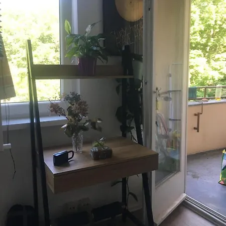 Apartment After-moon